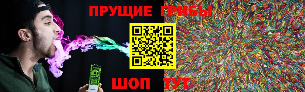 Псилоцибиновые грибы GOLDEN TEACHER Ачхой-Мартан